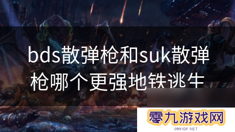 bds散弹枪和suk散弹枪哪个更强地铁逃生